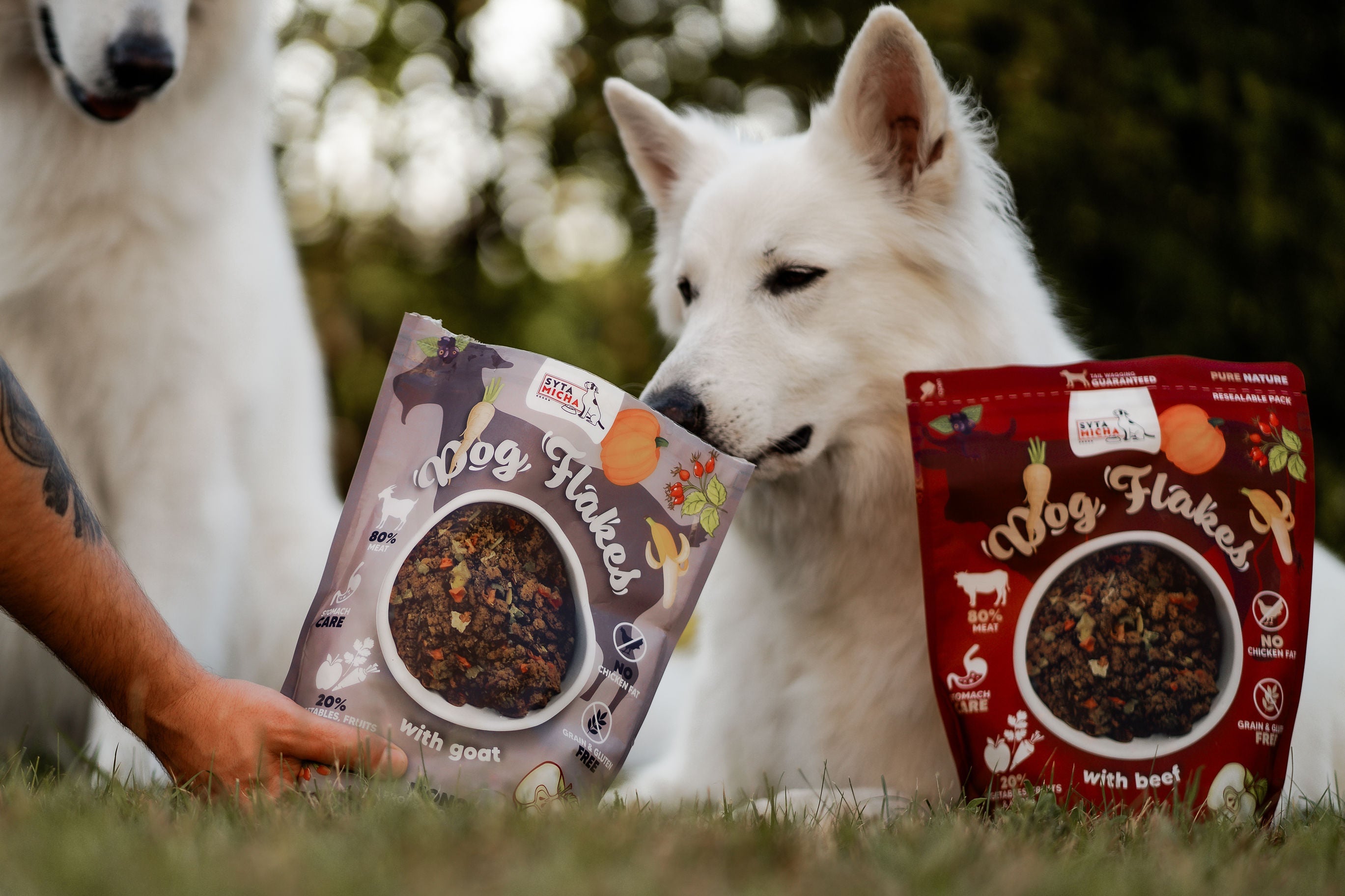 Podróże z psem i aktywny tryb życia – dlaczego karma suszona Dogflakes to idealny ekwipunek na wyprawę?