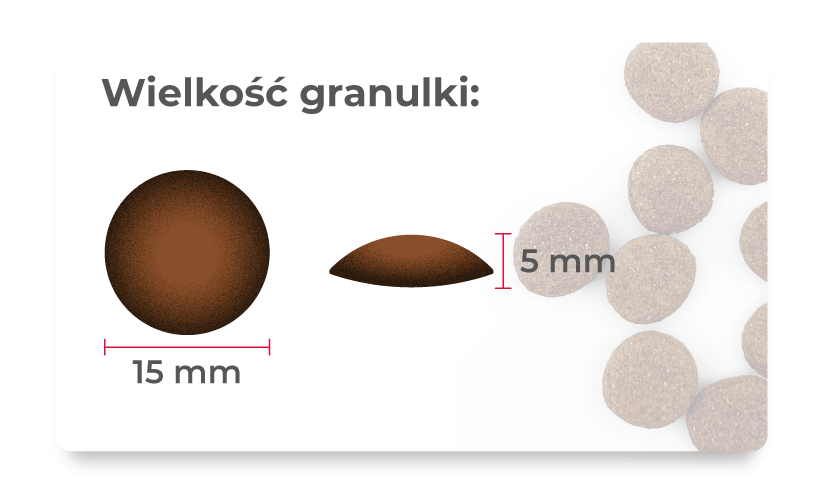 Sucha karma dla psa Łosoś, pasternak i truskawka 9kg